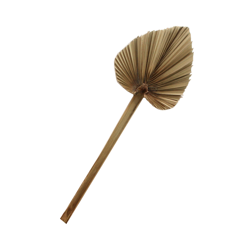 Palm Spear - Medium