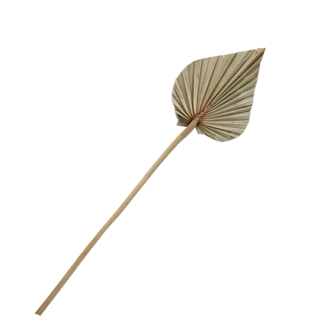 Dried Palm Spear - Small Natural
