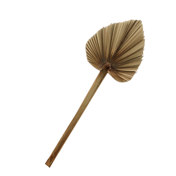 Palm Spear - Medium