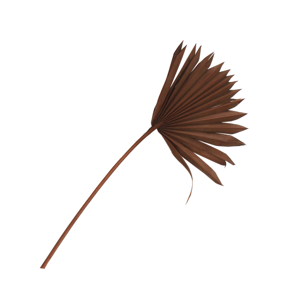 Palm Sun II - Dried - Brown SECONDS